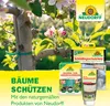NeudorffBaumanstrich 2L in max. 24h abgebunden - Produktbild-Vorschau 7