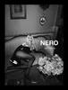 Nero Dolce & Gabbana Produktbild-Vorschau 1