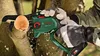Bosch Systemzubehör Sägekette 15 cm (1,1 mm) - F016800624 Produktbild-Vorschau 3