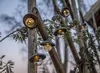 Girlanda solarna ogrodowa SHADE 10 lampek LED z daszkami Podgląd zdjęcia produktu 7