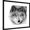 MuchoWow® Gerahmtes Poster Wolf mit verschneitem Kopf in Produktbild-Vorschau 1