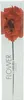 Kenzo Flower von Kenzo L'Absolue Eau de Parfum 50ml Produktbild-Vorschau 4