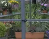 Szklarnia Palram - Canopia Oasis Hexagonal z ramą Podgląd zdjęcia produktu 15