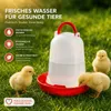 Futterautomat + Tränke Set Futterspender Trinknapf Produktbild-Vorschau 7