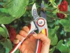 WOLF-Garten Amboss-Gartenschere Professional "RS 5000" Produktbild-Vorschau 7