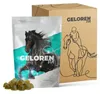 GELOREN Paarden - Gewrichtssupplement voor paarden - 450g Productafbeelding-voorbeeld 13
