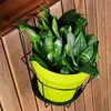 A green potted plant sits in a black metal holder attached to a wooden slatted surface. Podgląd zdjęcia produktu
