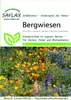 Artikelbild 1 von 'Bergwiesen' aus der Kategorie Wildblumensamen Podgląd zdjęcia produktu