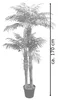 Palmizio Palma Cocco Pianta Albero Artificiale 170cm Legno Anteprima dell’immagine prodotto 5