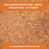 Bakto Dry 100g - Teichbakterien Produktbild-Vorschau 5