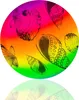 Záhradná gumová lopta Plážová vodeodolná hra Rainbow Fun Náhľad obrázku produktu 5