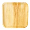 Papstar Teller Palmblatt pure eckig 255x255mm 6 Stück Náhled obrázku produktu 1