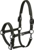 Eskadron Halfter Sparkle Double Pin Dynamic 2025 Produktbild-Vorschau 1