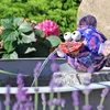 CLGarden kleine Springbrunnenpumpe NSP1E für Wasserspeier Produktbild-Vorschau 9