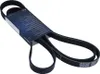 DAYCO Keilrippenriemen 2220,0mm für CHEVROLET CAPTIVA Produktbild-Vorschau 3
