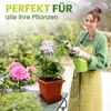 A woman is watering plants in a garden setting. Produktbild-Vorschau