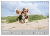 Australian Shepherd 2027 (Tischkalender 2027 DIN A5 quer), Produktbild-Vorschau 5