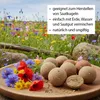 TERRA EXOTICA Terrarienbodengrund Lehmpulver Rot 25 kg Produktbild-Vorschau 4