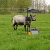Kompletní systém mobilního plotu Gallagher SmartFence V2 Náhled obrázku produktu 3