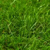 vidaXL Erba artificiale 1x15 m/40 mm Verde Anteprima dell’immagine prodotto 2