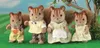 EPOCH Traumwiesen Sylvanian Families 4172 Noix Écureuil Voir les images du produit 28