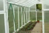 Inside a greenhouse, showing rows of young plants and a green plant support structure. Produktbild-Vorschau