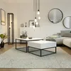 A modern living room with a sofa, coffee table, rug, and decorative items. Produktbild-Vorschau