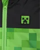 Minecraft - Bunda, nepromokavá, s kapucí pro chlapce NS6232 Náhled obrázku produktu 3