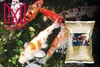 Garten Fischfutter für Koi Karpfen Mersjo Pond pellet MIX Produktbild-Vorschau 11