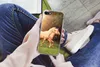MuchoWow® Handyhülle Schutzhülle Hülle für iPhone 8 Pferde Produktbild-Vorschau 3