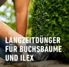 COMPO Buchsbaum- und Ilex Langzeit-Dünger - 2 kg für ca. 35 Produktbild-Vorschau 3