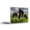 MuchoWow® Laptop Aufkleber Sticker Cover Kühe - Tiere - Produktbild-Vorschau 1