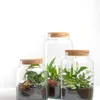 Aerarium avec bouchon en liège 5 l Voir les images du produit 6