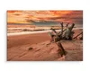 Fabelhafte Canvas LEINWAND BILDER 70x50 cm XXL Kunstdruck Produktbild-Vorschau 4
