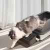 A cat is stepping out of a litter box with a ramp. Produktbild-Vorschau