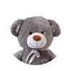 Close-up of a teddy bear's face and upper body. Podgląd zdjęcia produktu