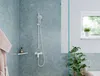 A modern bathroom with a shower area, featuring a showerhead and a small shelf with a bottle of soap. Voir les images du produit
