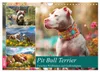 Pit Bull Terrier. Zwischen Wildblumen und Großstadtglanz Produktbild-Vorschau 1