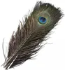 Plumes de paon, env. 25-30 cm, 5 pièces Voir les images du produit 3