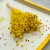 Flachs Getrocknete - (Leinen) - Gelb Produktbild-Vorschau 7