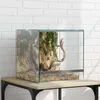 vidaXL Terrario con contenitore trasparente 30 x 30 x 30 cm Anteprima dell’immagine prodotto 2