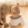 Katzennäpfe, 15° geneigter, erhöhter Futter- und Produktbild-Vorschau 1