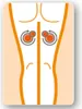 Medisana 88949 Medisana MC 840 Shiatsu-Massagekissen Podgląd zdjęcia produktu 11