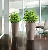 Two tall taupe planters with green plants in them, placed on a dark wooden floor in a modern office setting with glass walls and chairs visible in the background. Produktbild-Vorschau