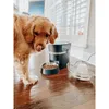 PETSAFE Smartfeed podłączony dozownik na 12 posiłków - dla Podgląd zdjęcia produktu 4