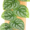 Monstera dubia sur une planche - une rareté - feuille de Voir les images du produit 2