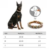 Handgeflochtenes Hundehalsband aus Echtleder - Premium Produktbild-Vorschau 5