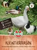 Artikelbild 2 von 'Kleintierrasen Mischung' aus der Kategorie Kleintiersaaten Produktbild-Vorschau