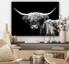 MuchoWow® - Leinwandbilder - Schottischer Highlander - Kuh Produktbild-Vorschau 7