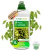 Purgrün Ficus-Dünger 1 Liter Produktbild-Vorschau 1